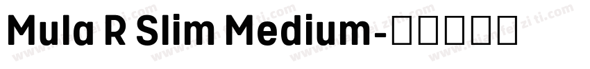 Mula R Slim Medium字体转换